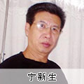 書畫家寧新生