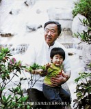 已故名家王呈四尺國畫牡丹《唯有牡丹真國色》（詢價）