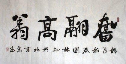 名家朱國林四尺勵志書法《奮翔高飛》