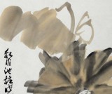 中國(guó)美協(xié)肖映梅四尺三開(kāi)《秋水池塘?xí)宰詻觥?詢價(jià)）