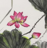 何華賢 六尺斗方《荷塘清趣》 潁淮書畫名家