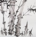 安徽美協(xié)何華賢 四尺斗方 竹子畫《凌云志》