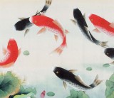 凌雪 小八尺《年年有余》 北京美協(xié)會員