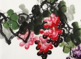 黃藝四尺斗方葡萄畫《碩果累累》