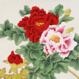 凌雪 三尺斗方《花開富貴》 北京美協(xié)會員