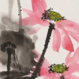 陳丹暉 《金池種碧蓮》 江蘇省美協(xié)會(huì)員 清華美院助教