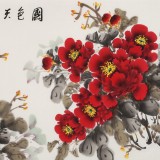 王偉寧四尺《國(guó)色天香》 青年書(shū)畫(huà)才俊 河南美協(xié)會(huì)員