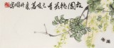 【已售】陳丹暉 《故園槐花香》 江蘇省美協(xié)會員 清華美院助教