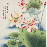 凌雪 四尺斗方《荷香萬里》 北京美協(xié)會(huì)員