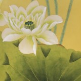 凌雪 四尺斗方《清香溢遠》 北京美協(xié)會員