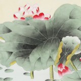 【已售】凌雪 四尺斗方《和和美美》 北京美協(xié)會員