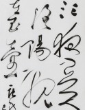 張?jiān)蕽h 四尺對開《一片冰心在玉壺》 中書協(xié)會員 河南書法院創(chuàng)作部主任