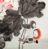 【已售】何一鳴 四尺斗方《風(fēng)定荷更香》