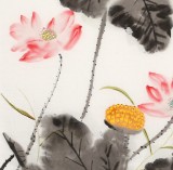 【已售】何一鳴 四尺斗方《風(fēng)定荷更香》