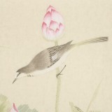 張瑰麗 四尺斗方工筆《一枝水玉無暇》 湖南省美術家協(xié)會會員