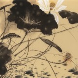 吳顯剛 小六尺《荷氣一塘》貴州七星關美協(xié)主席