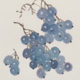 王永剛 斗方小品《美食圖》國(guó)家一級(jí)美術(shù)師（詢(xún)價(jià)）