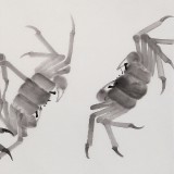 王守義 四尺斗方《清秋時(shí)節(jié)》 中書協(xié)會(huì)員 齊白石研究會(huì)會(huì)員